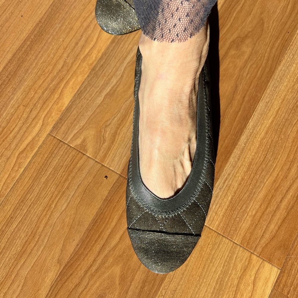 Stuart Weitzman Ballet Flat in Pewter/gold